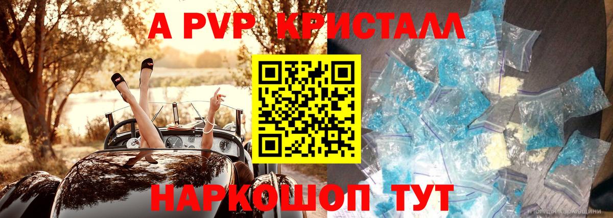 Альфа ПВП СК Саратов