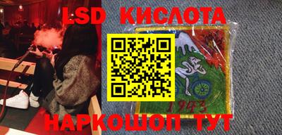 гашик Моздок