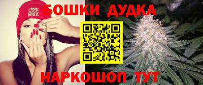 гашик Моздок