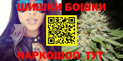 гашик Моздок