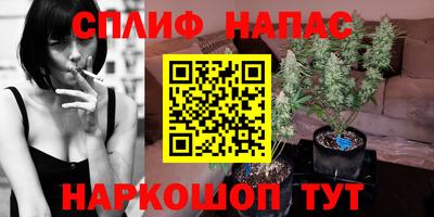гашик Моздок