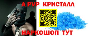 гашик Моздок