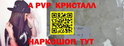 гашик Моздок
