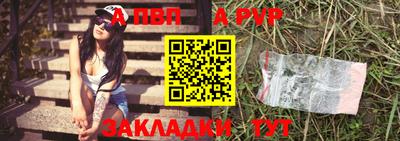 гашик Моздок